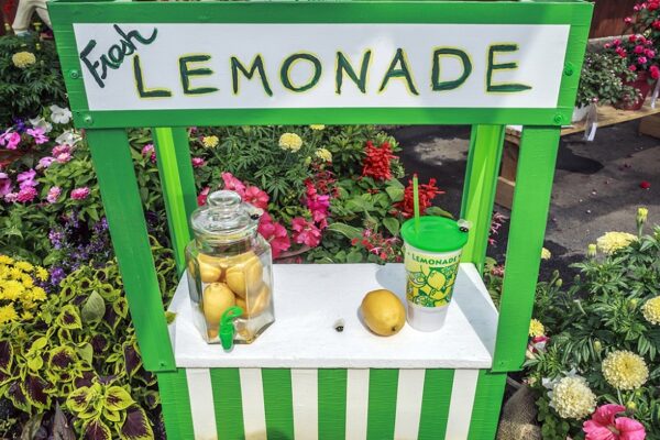 Four Things You Need to Run an Effective Lemonade Stand