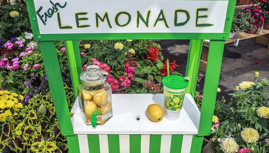 Run an Effective Lemonade Stand