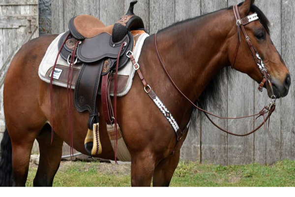 4 Types of Horse Saddles to Consider When Shopping