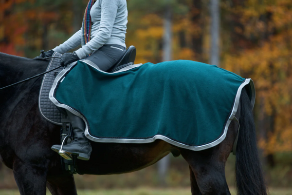 Why Blanketing Your Horse In Cold Weather Is Beneficial