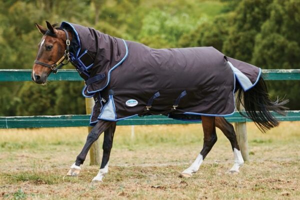 Tips on how to  to choose the kind of rug that fits your horses needs