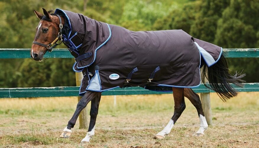 rug that fits your horses needs