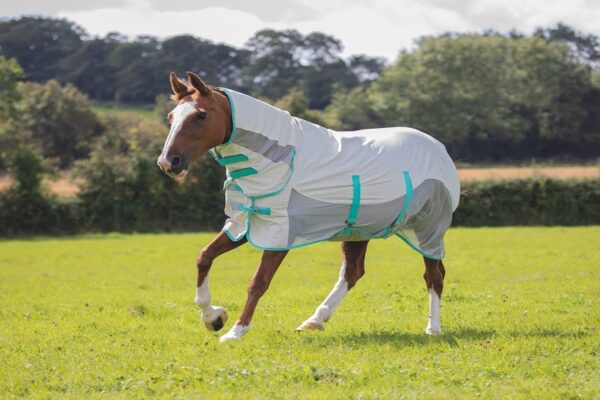 Why You Need to Rug Your Horse and When to Use Them