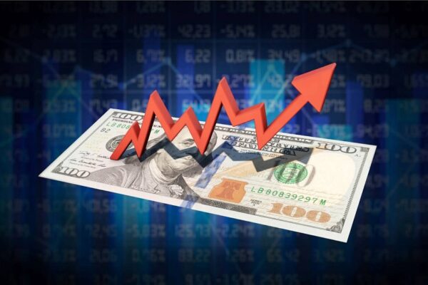 Navigating the Stock Market: A Novice’s Handbook to Investing in US Stocks
