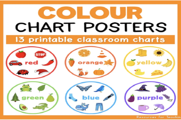 How Colour Recognition Supports Cognitive Growth in Early Learners