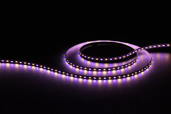 Lighting Up Global Spaces: How LED Solutions Are Powering Versatile Design Possibilities